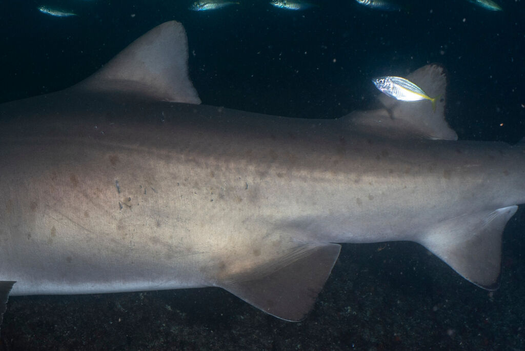 7f4221a9-24ae-4e31-8edd-7fef6e49efb6