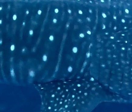 59a6cd97-f415-48e6-b09b-3392a400ad66