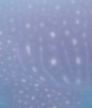 c30506a3-2913-4c4f-8ebd-80cb8874623d