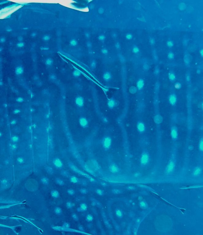 f3abc349-0e0d-4869-a5a3-f46ccdaef1a4