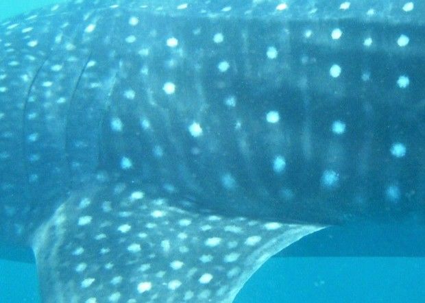 b88ef1a8-5cd9-480c-b194-dcf2188b6f2e