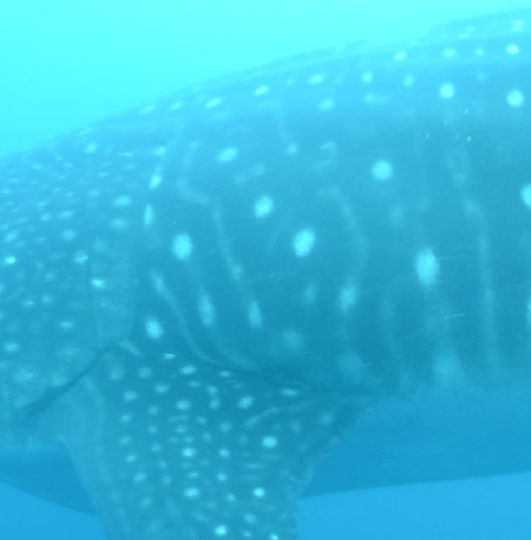 6fa94973-5aeb-420a-a60a-e10fabed204d