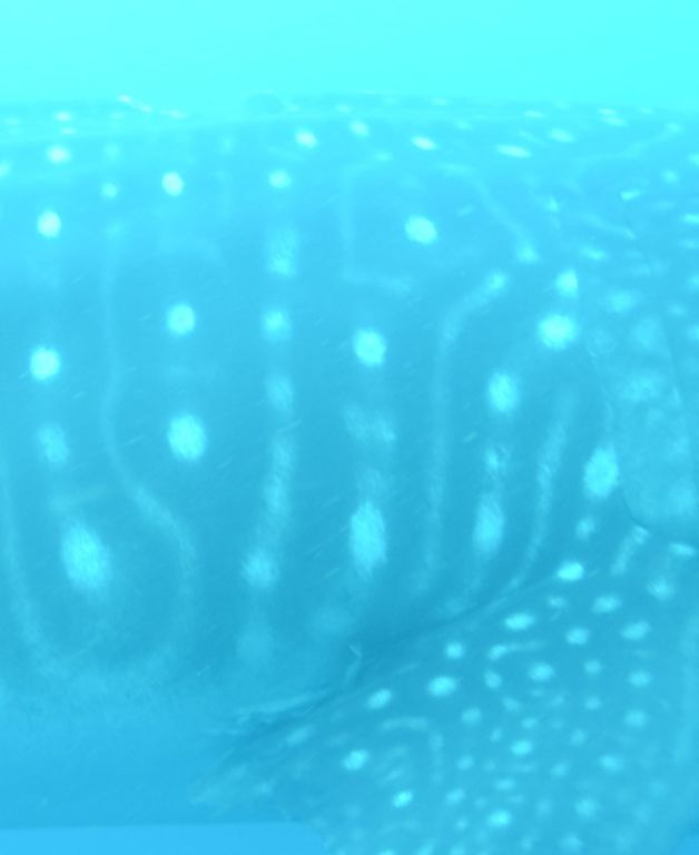 6fa94973-5aeb-420a-a60a-e10fabed204d