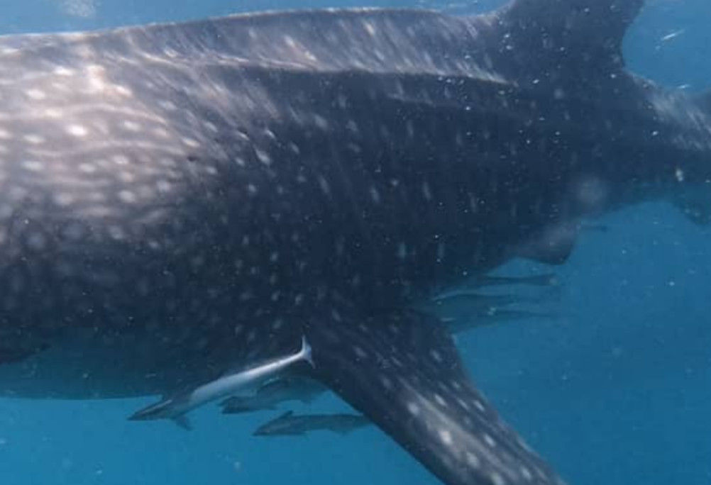 701e5b52-6a29-4589-bdde-95e5bb5ad520