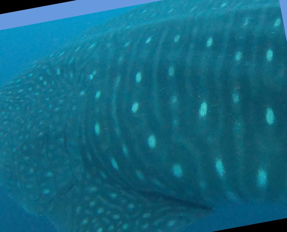 e1c4e54e-9deb-4eb3-ba51-7c4e0ece76a8