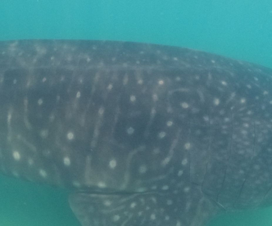 ab8d983c-9362-4a54-a8a3-ddaf9db78593