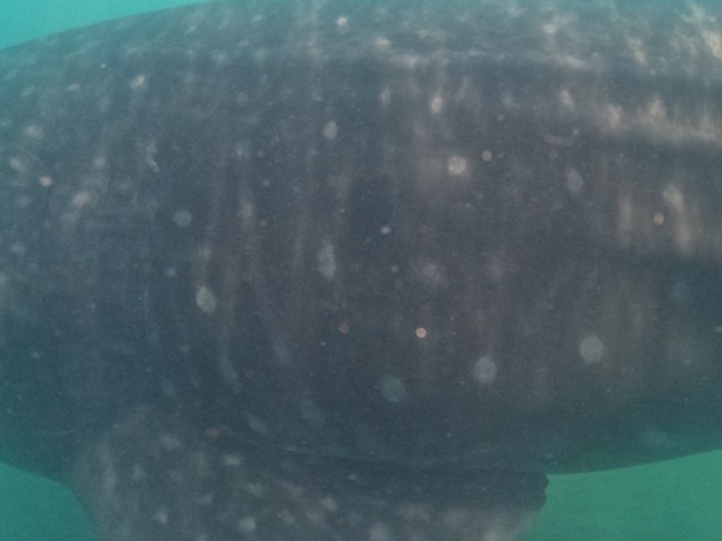 ab8d983c-9362-4a54-a8a3-ddaf9db78593