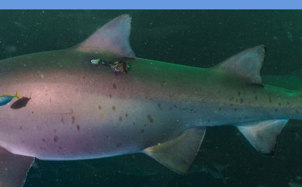 8ef6fc2c-7a7c-46ed-a458-373fc5dcca07