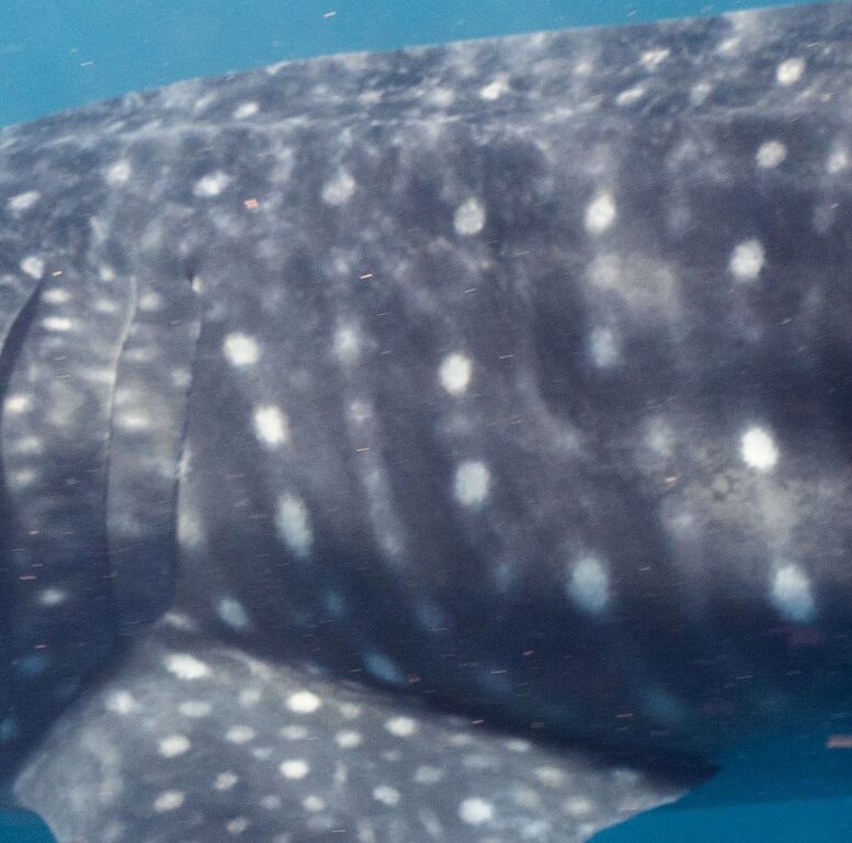 10783895-f875-4e58-9fae-41347ec02fdb