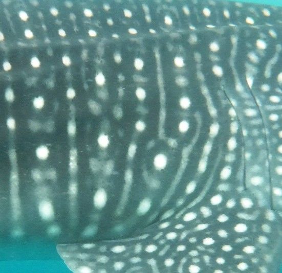 45016f99-f84e-44d0-a51d-b347a56b1d37