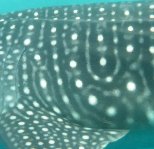 45016f99-f84e-44d0-a51d-b347a56b1d37