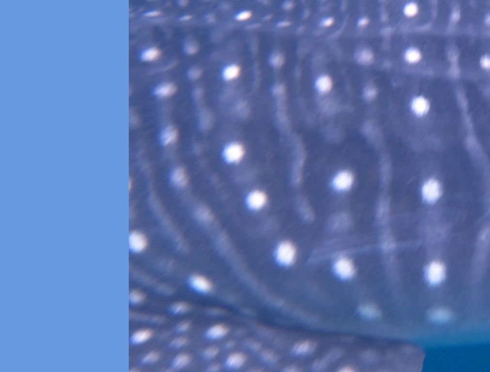 75d92d6f-e510-449d-9520-be0bf813a0c2