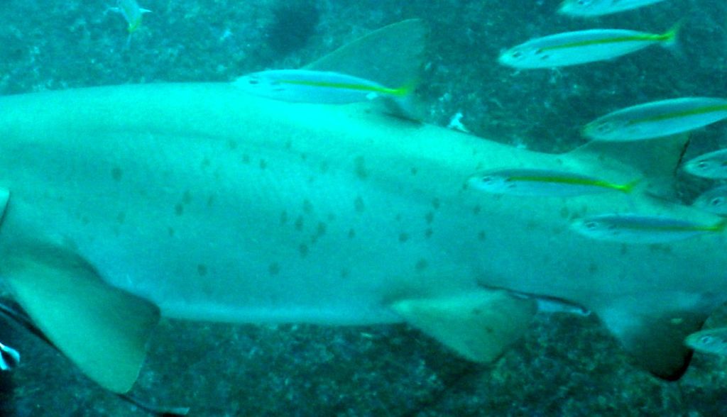 c577eb15-0da9-4e83-95d8-69cf112994c9