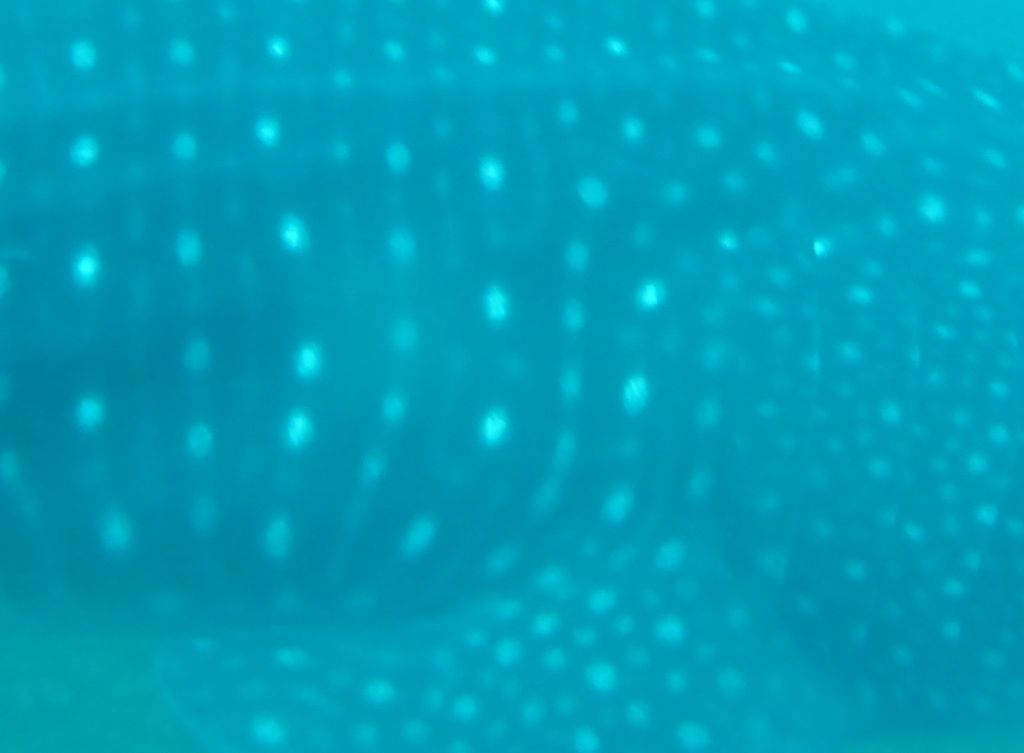 c6a56980-6fda-482b-b636-c7695095f0e7