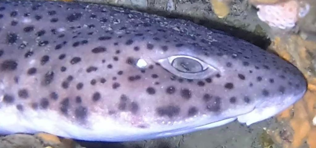 f3dd98bc-d01e-4c12-9b54-a26b2361bc0c