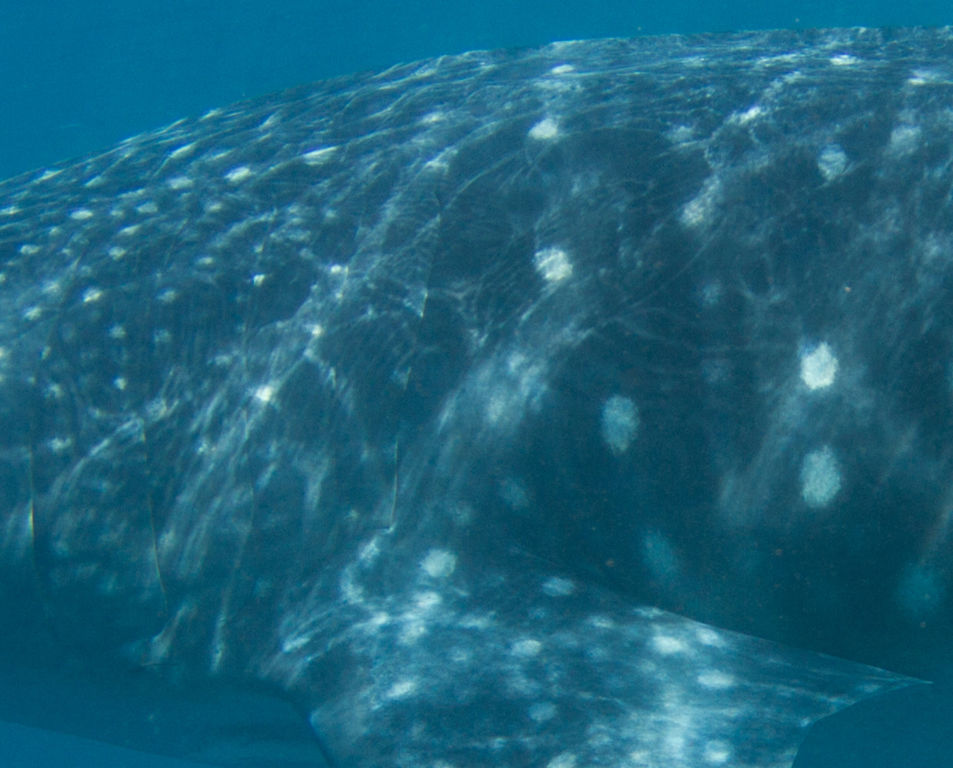 46fe5d29-4cd2-4bab-9df4-e3c1af4da1f0