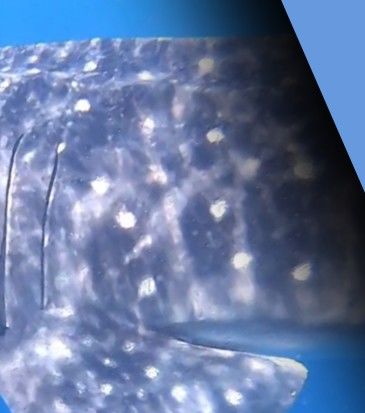 7f86c9ef-5ed1-42d4-97a0-7dc1f879c2f8