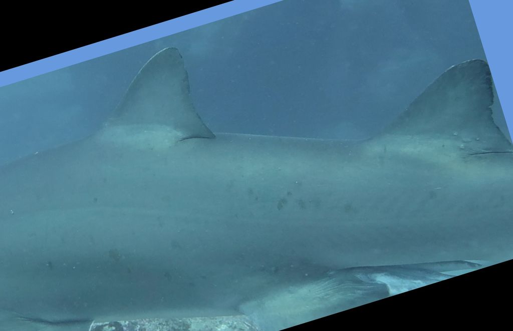 7460ef72-cc5f-4c66-ae28-ec203b7539b2