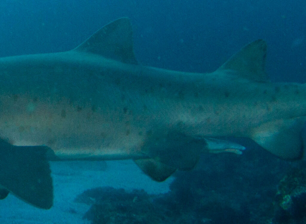 37e27062-46b3-45a8-9175-c07fb76ce778