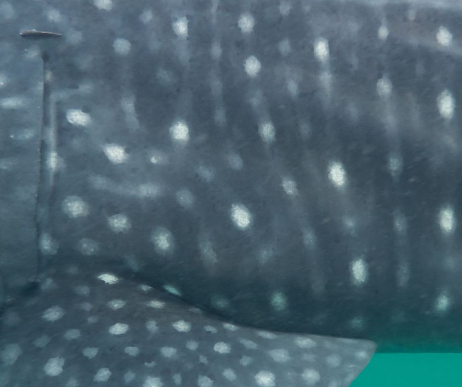 bea4cf11-e517-46cf-bf80-76ce60a1b683