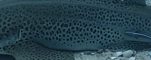 f1fb8ef6-7bec-4f46-a290-8131ddf6fec3