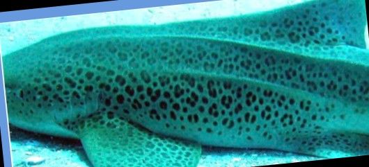 1f2f8fac-102d-4b31-bb8e-24b21987e55d