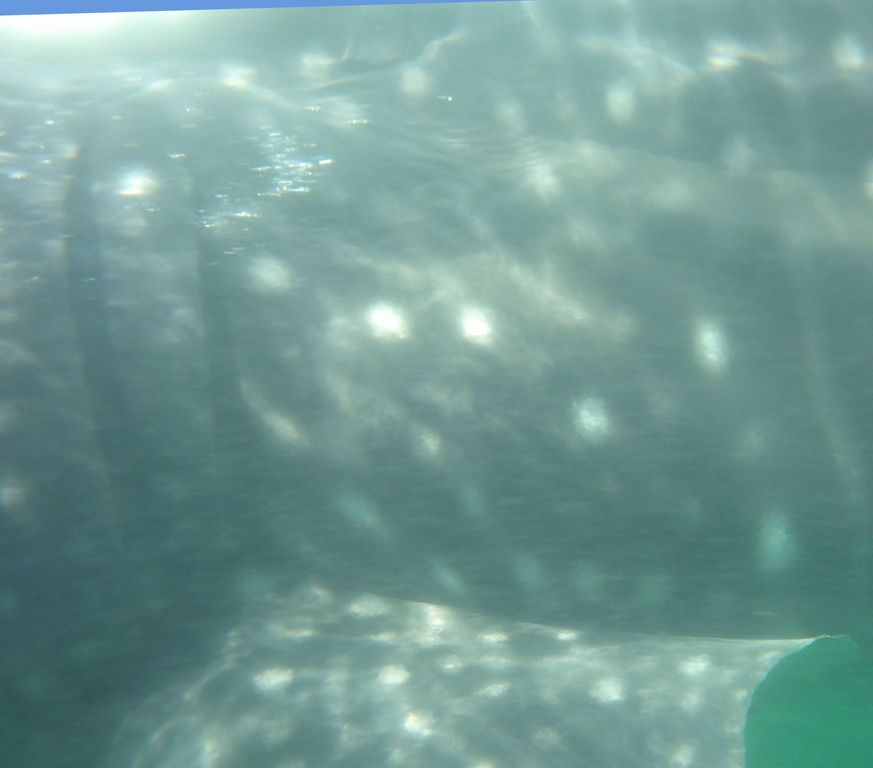 d44870cc-d072-4ad3-a557-c33a8bca35f1