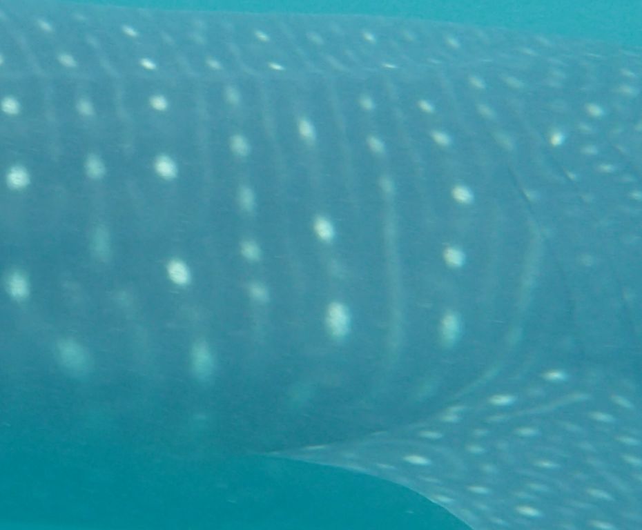 329cd66a-2b8e-4ba4-a3df-290e58c19e91