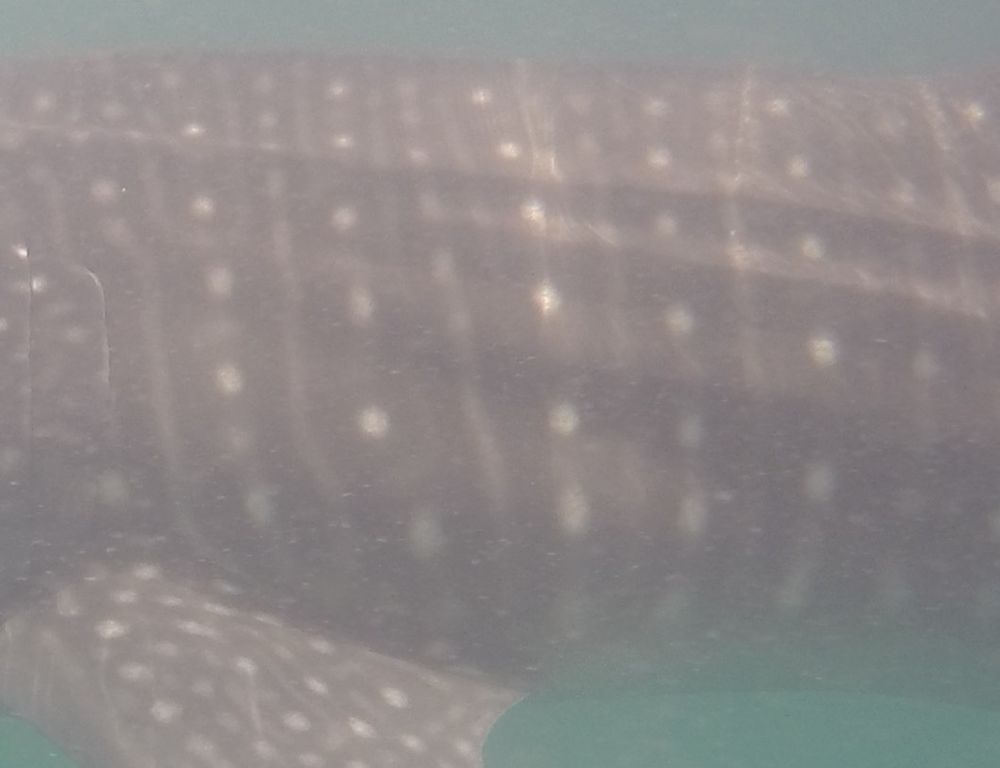 329cd66a-2b8e-4ba4-a3df-290e58c19e91