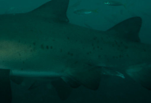 4d0e1848-ef57-44e5-965e-c2abf9e982e2