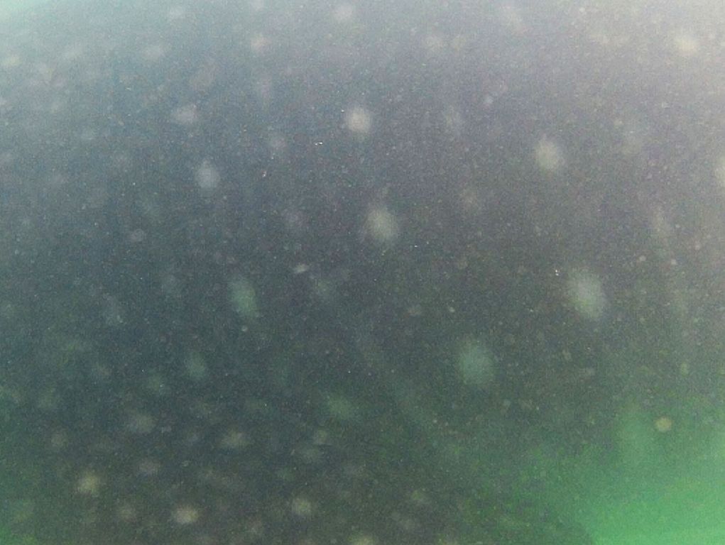 96638248-5374-468b-80e3-e7d9c981ef19