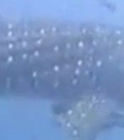 a5465b78-32bc-4f74-8008-51fa8d91da6c