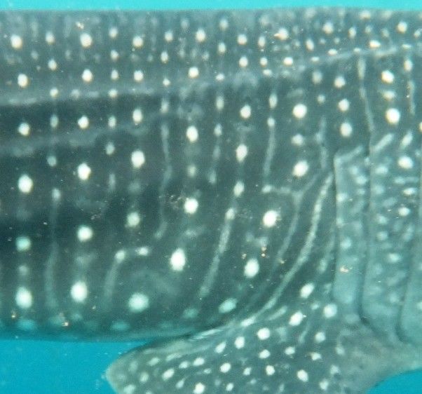 16f11bb7-b8f6-4f63-bd81-6f1f65d80e6c