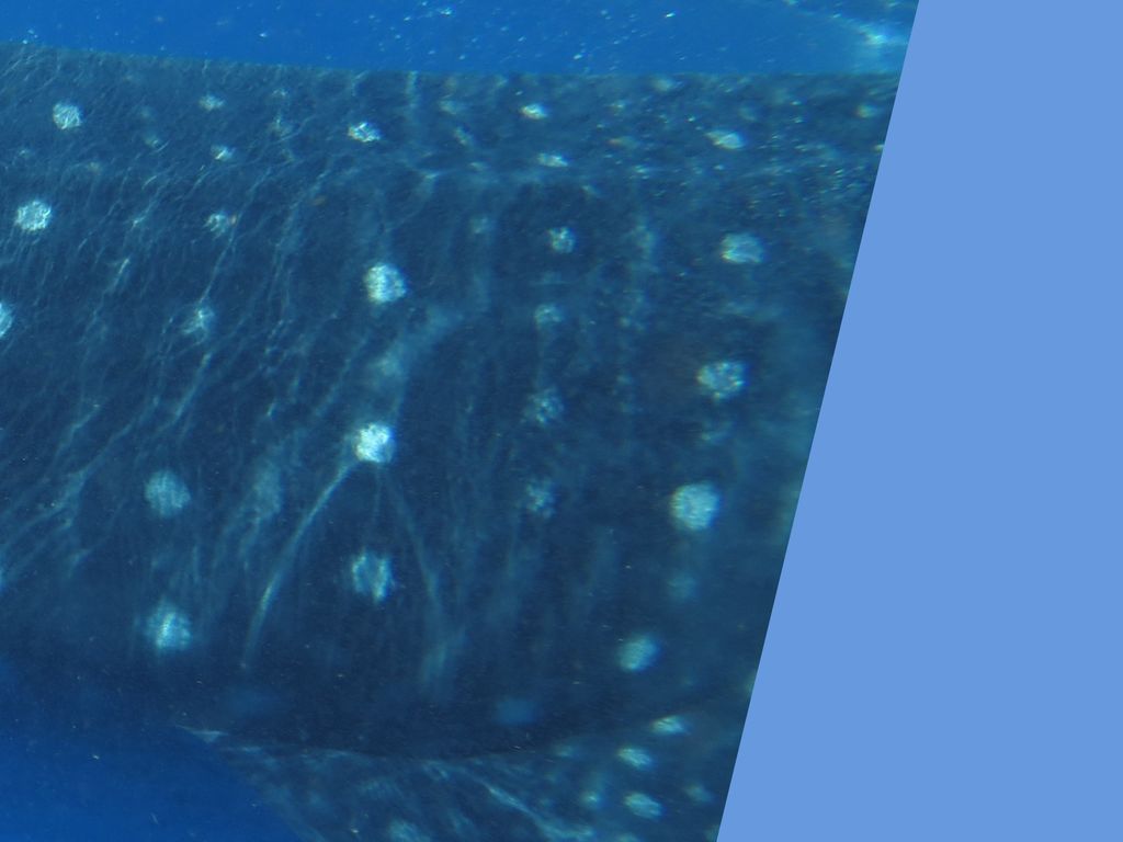 534b3d1f-72a9-4267-92f7-0fbf87b29b89