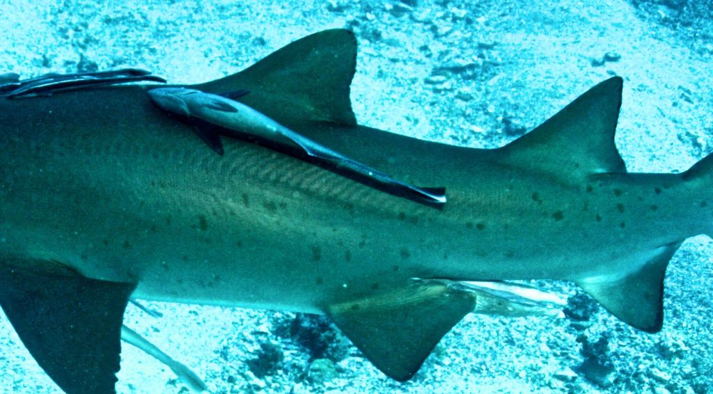 d8d9474f-5151-43cf-aa98-f2c9af3d30e2