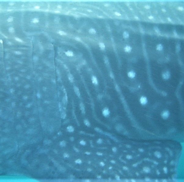 b78ff492-0e77-4f7b-9d1f-242505955acf