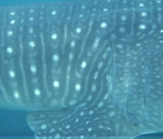 b78ff492-0e77-4f7b-9d1f-242505955acf