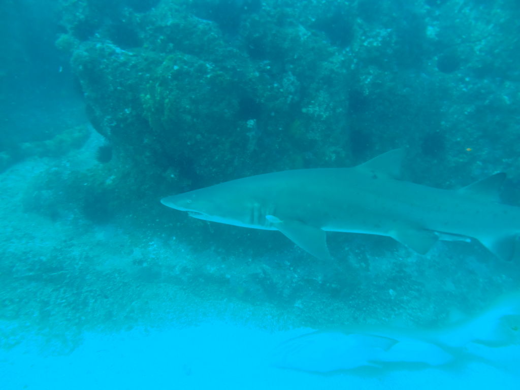 f214f6b5-88c6-4d88-8168-c9c9b857a6c4