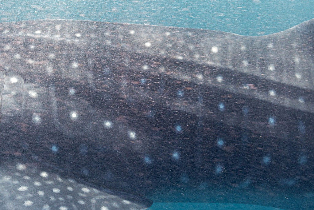 f5087089-8a66-4110-9c2f-b715a684f68b