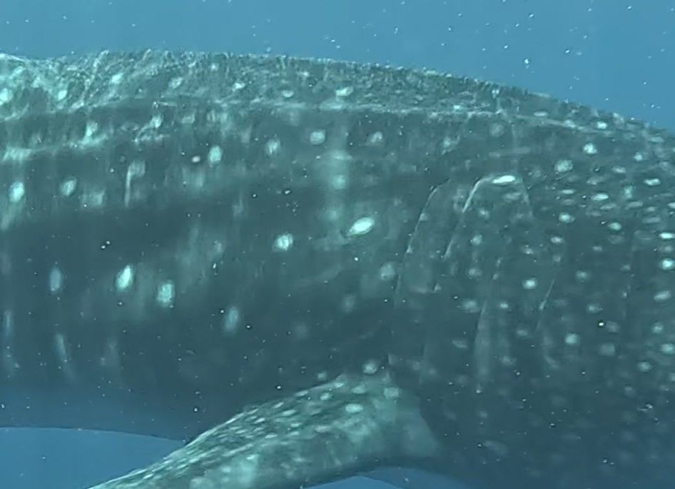 5f12f235-b701-4a87-b2e1-5df30b94dfb3