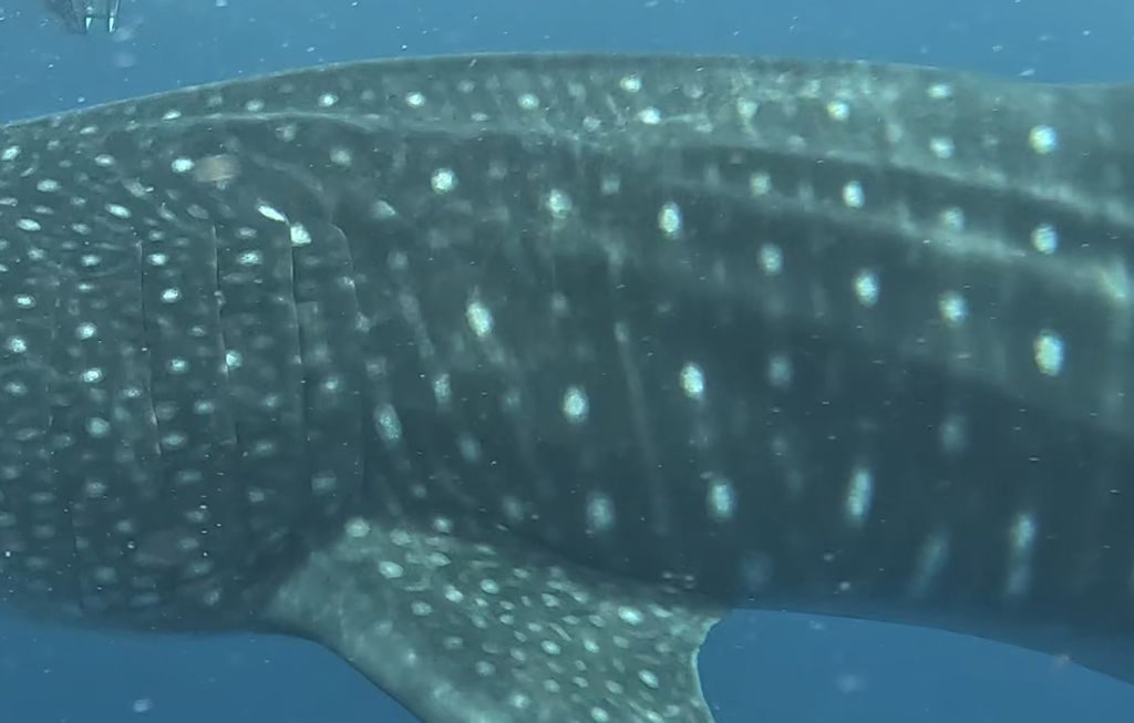 5f12f235-b701-4a87-b2e1-5df30b94dfb3