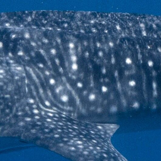 37001304-fee7-484b-a926-634e1df00f4a