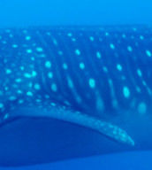 ee06d42f-eded-46fd-8fbb-c3f6a5a8987f