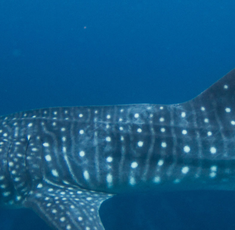 087852bd-69c8-4cb9-bfd0-ddb1a047c319