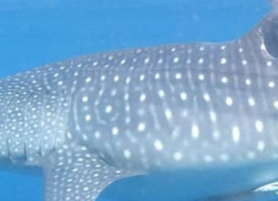 d790a6a0-3c3c-4412-a989-63e7b9747a05