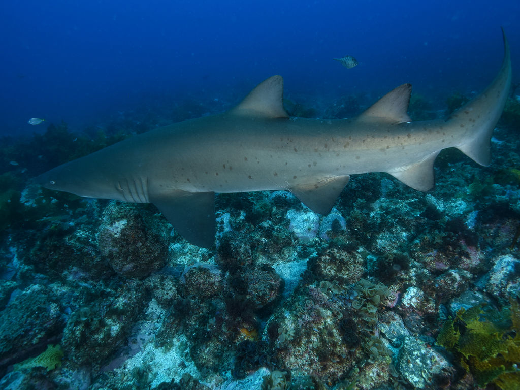 41ca4ab8-542e-448c-b390-58a43e83166c