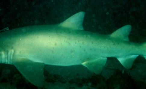 c33e1f57-6f51-41ef-b9e5-dfb3a1124bfd