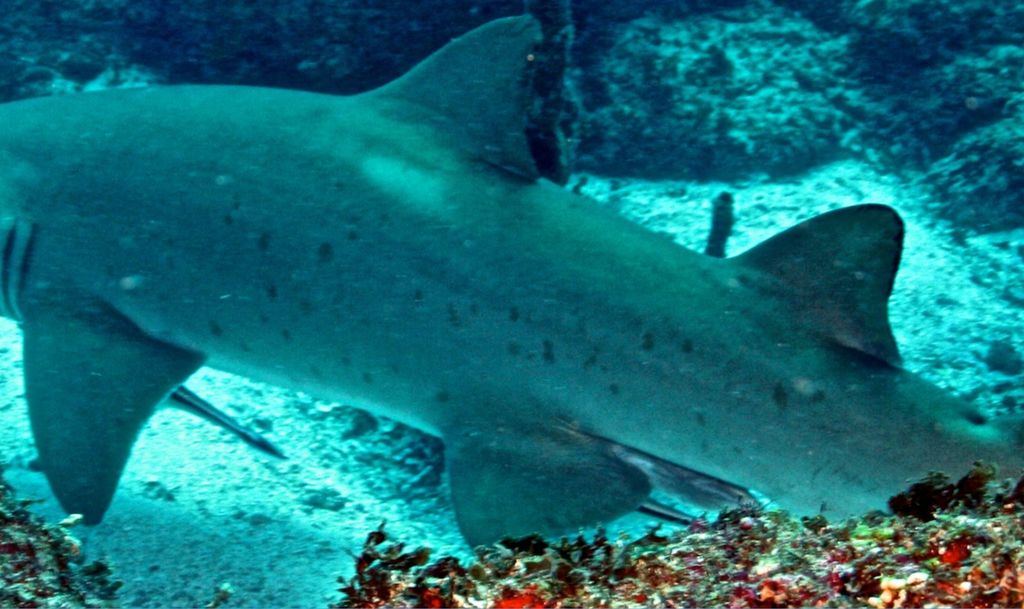 b1495e34-4ac8-4d52-a096-38b5d84782dc