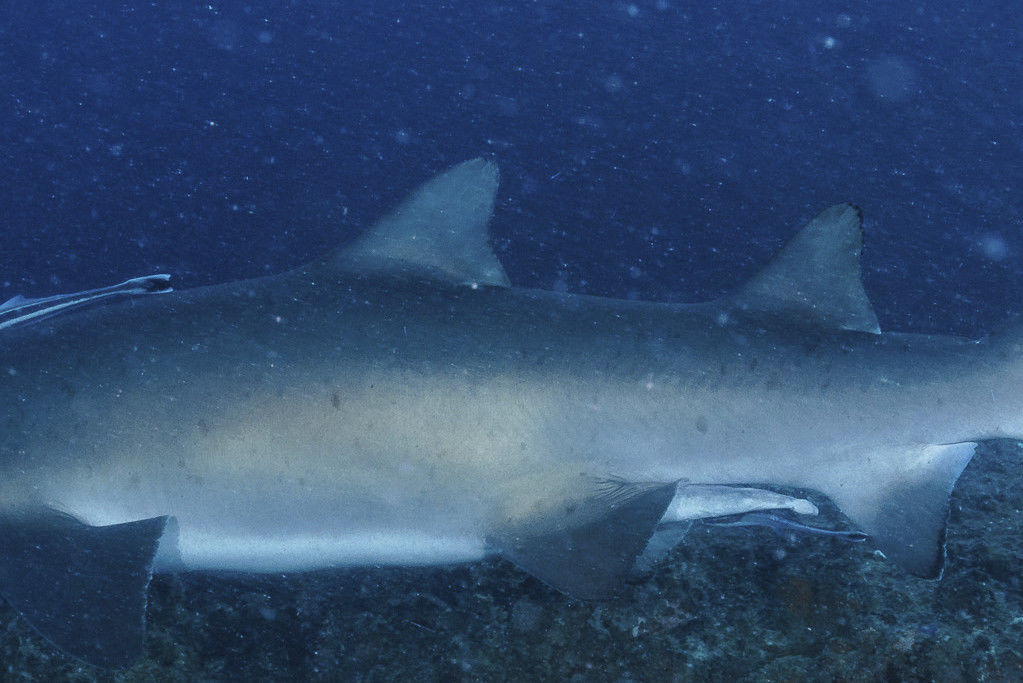 285554dc-4086-4dd0-b2dd-8a05cabf9885