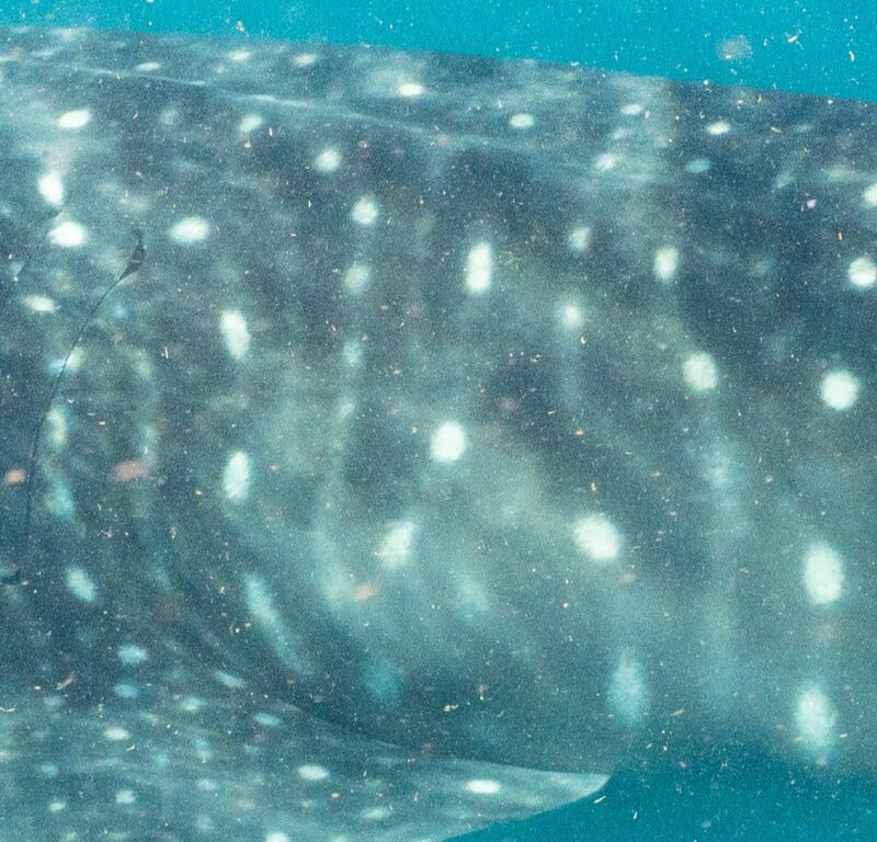 0891e543-ae5b-4e62-8e7f-9a9aa53c5f0e